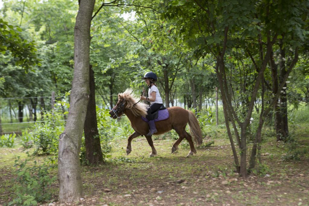 Agriturismo Borg Da Ocjs Медеа Экстерьер фото